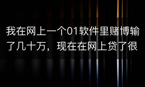 我在网上一个01软件里赌博输了几十万，现在在网上贷了很多网贷，还不起了，怎么办