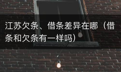 江苏欠条、借条差异在哪（借条和欠条有一样吗）
