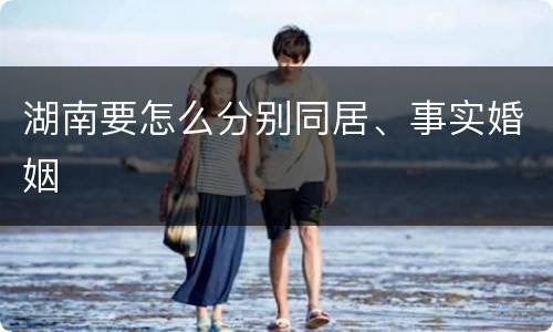 湖南要怎么分别同居、事实婚姻