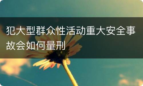 犯大型群众性活动重大安全事故会如何量刑