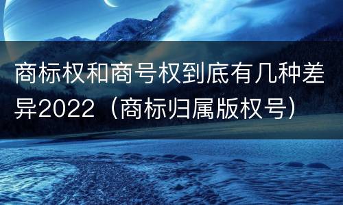 商标权和商号权到底有几种差异2022（商标归属版权号）