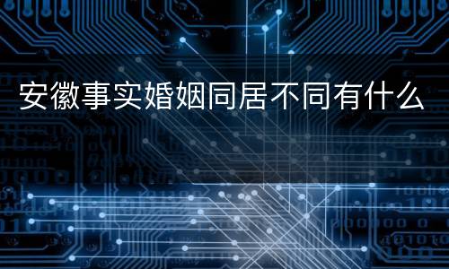 安徽事实婚姻同居不同有什么