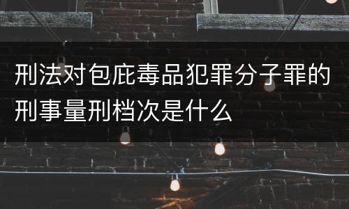 刑法对包庇毒品犯罪分子罪的刑事量刑档次是什么