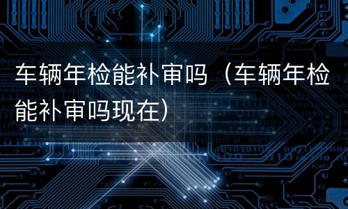 车辆年检能补审吗（车辆年检能补审吗现在）