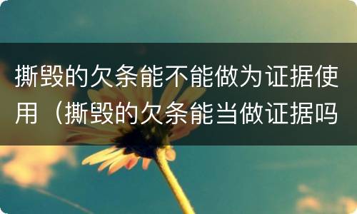 撕毁的欠条能不能做为证据使用（撕毁的欠条能当做证据吗）