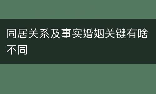 同居关系及事实婚姻关键有啥不同