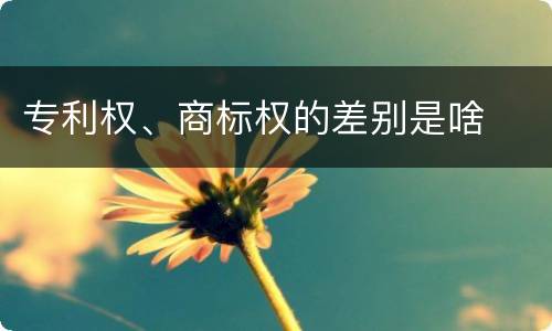 专利权、商标权的差别是啥