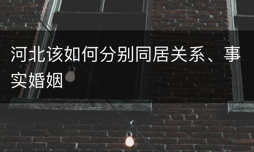 河北该如何分别同居关系、事实婚姻