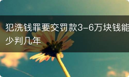 犯洗钱罪要交罚款3-6万块钱能少判几年