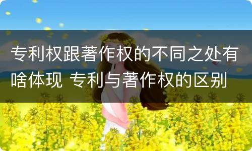 专利权跟著作权的不同之处有啥体现 专利与著作权的区别