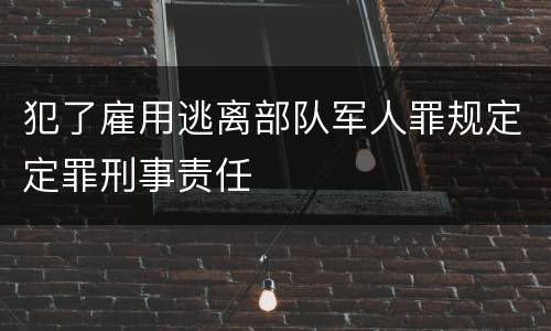 犯了雇用逃离部队军人罪规定定罪刑事责任