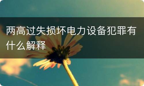 两高过失损坏电力设备犯罪有什么解释