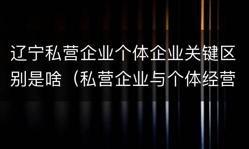 辽宁私营企业个体企业关键区别是啥（私营企业与个体经营企业的区别）
