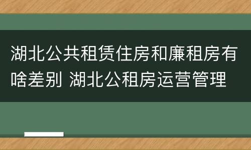 湖北公共租赁住房和廉租房有啥差别 湖北公租房运营管理