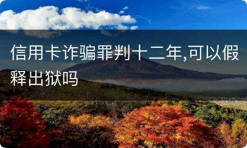 信用卡诈骗罪判十二年,可以假释出狱吗