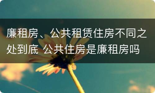 廉租房、公共租赁住房不同之处到底 公共住房是廉租房吗