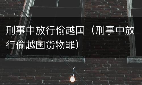 刑事中放行偷越国（刑事中放行偷越国货物罪）