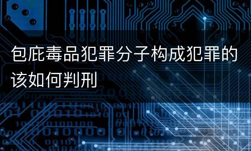包庇毒品犯罪分子构成犯罪的该如何判刑