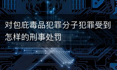 对包庇毒品犯罪分子犯罪受到怎样的刑事处罚
