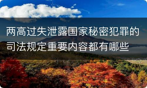 两高过失泄露国家秘密犯罪的司法规定重要内容都有哪些