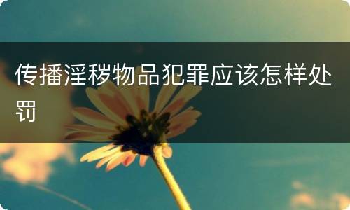 传播淫秽物品犯罪应该怎样处罚