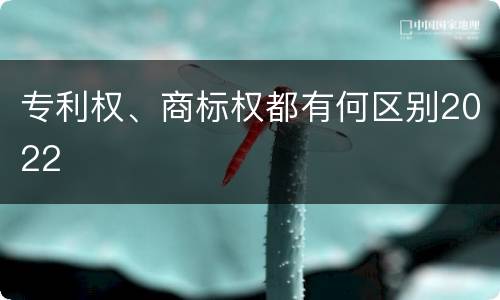 专利权、商标权都有何区别2022
