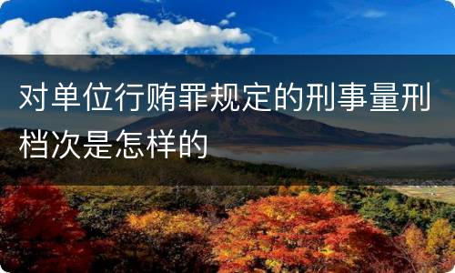 对单位行贿罪规定的刑事量刑档次是怎样的
