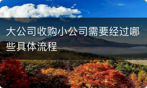 大公司收购小公司需要经过哪些具体流程