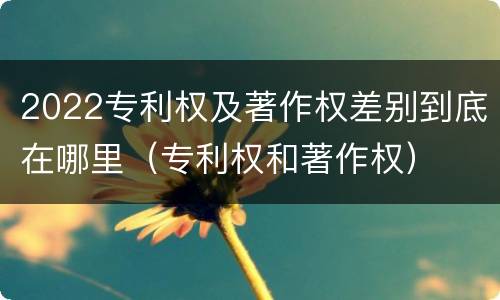 2022专利权及著作权差别到底在哪里（专利权和著作权）