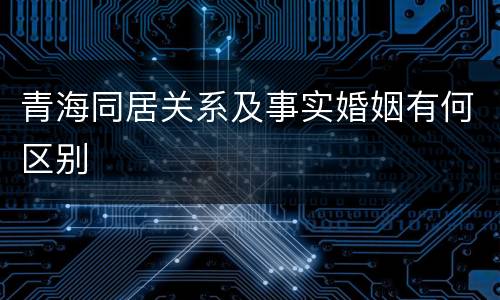 青海同居关系及事实婚姻有何区别