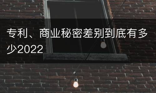 专利、商业秘密差别到底有多少2022