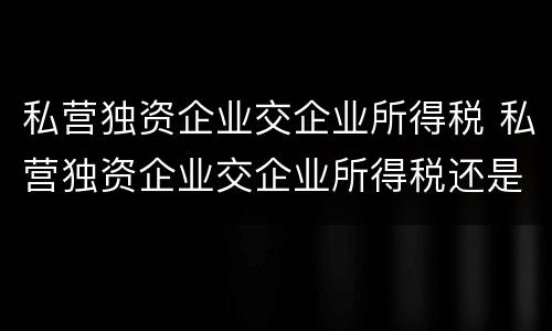私营独资企业交企业所得税 私营独资企业交企业所得税还是个人所得税