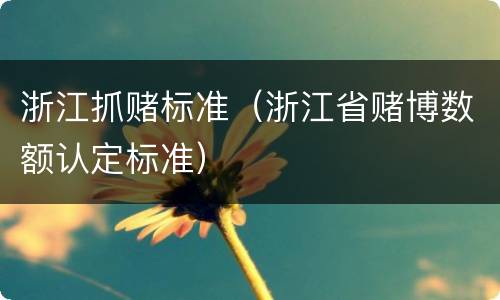 浙江抓赌标准（浙江省赌博数额认定标准）