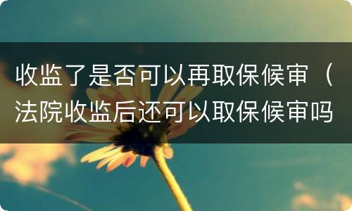 收监了是否可以再取保候审（法院收监后还可以取保候审吗）