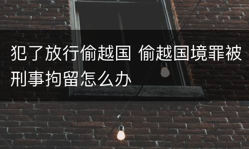 犯了放行偷越国 偷越国境罪被刑事拘留怎么办
