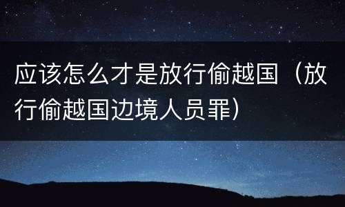 应该怎么才是放行偷越国（放行偷越国边境人员罪）