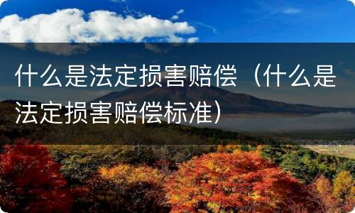 什么是法定损害赔偿（什么是法定损害赔偿标准）