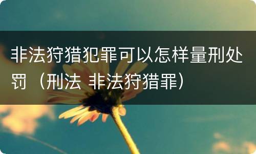 非法狩猎犯罪可以怎样量刑处罚（刑法 非法狩猎罪）