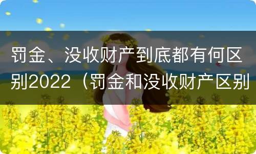罚金、没收财产到底都有何区别2022（罚金和没收财产区别）