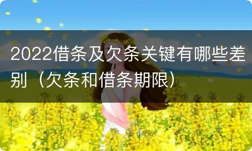 2022借条及欠条关键有哪些差别（欠条和借条期限）