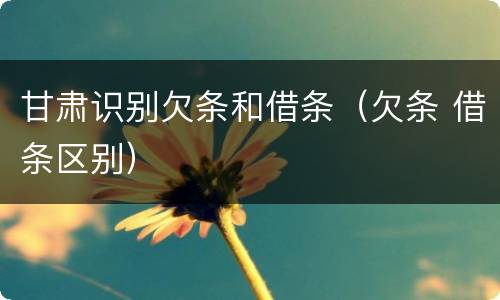 甘肃识别欠条和借条（欠条 借条区别）