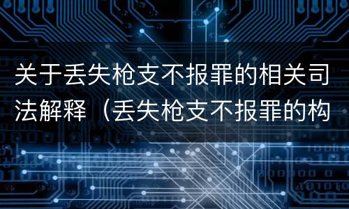 关于丢失枪支不报罪的相关司法解释（丢失枪支不报罪的构成要件）