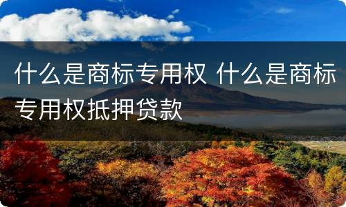 什么是商标专用权 什么是商标专用权抵押贷款