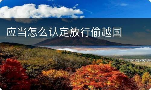 应当怎么认定放行偷越国