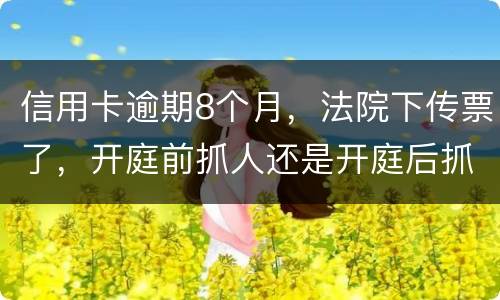 信用卡逾期8个月，法院下传票了，开庭前抓人还是开庭后抓人