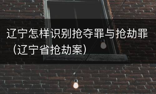 辽宁怎样识别抢夺罪与抢劫罪（辽宁省抢劫案）