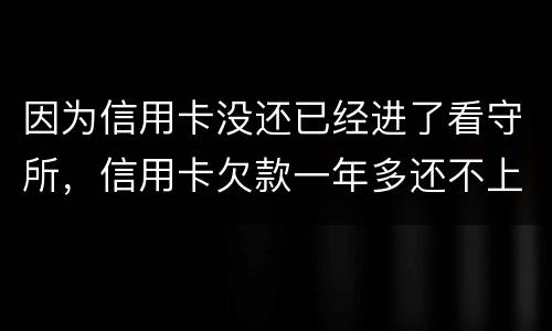 因为信用卡没还已经进了看守所，信用卡欠款一年多还不上怎么办