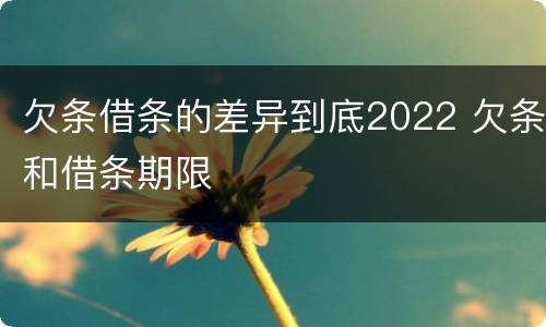 欠条借条的差异到底2022 欠条和借条期限
