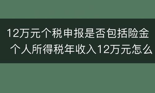 12万元个税申报是否包括险金 个人所得税年收入12万元怎么申报