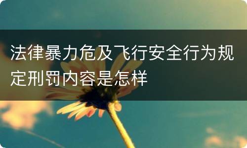 法律暴力危及飞行安全行为规定刑罚内容是怎样